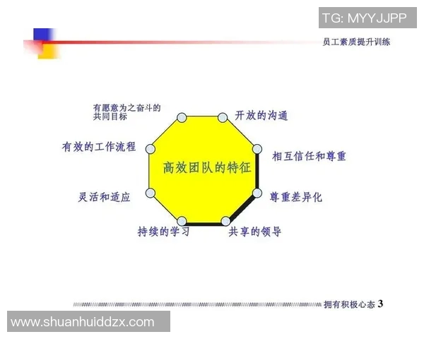深圳排球队团队协作的成功秘诀与战术分析探讨