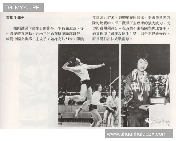 杭州排球队的控制革新探索与实践全景分析 杭州排球队的控制革新探索与实践全景分析