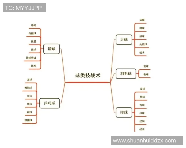 深圳排球队与西安排球队的较量分析与战术探讨
