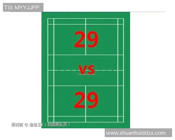 广州羽毛球队区域防守创新探索与战术升级全景分析